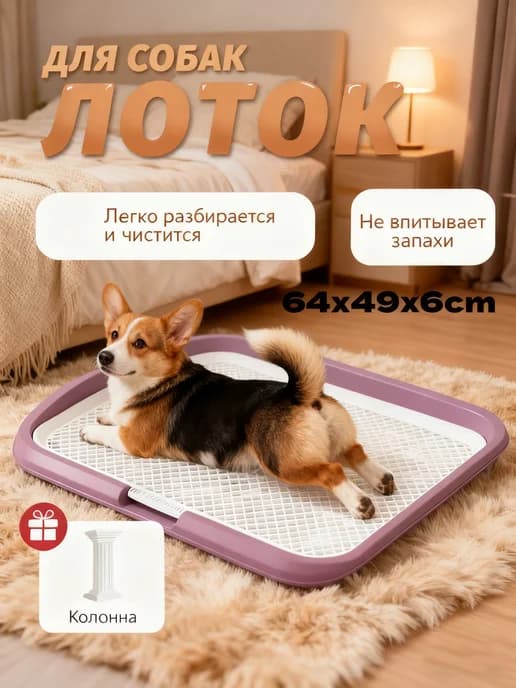 Современный лоток для собак с бордюром и сеткой