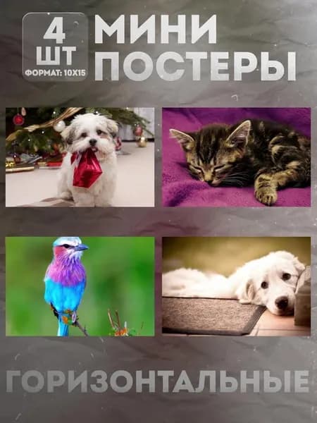 Мини постеры 10 на 15 (набор) «Животные» 4 шт