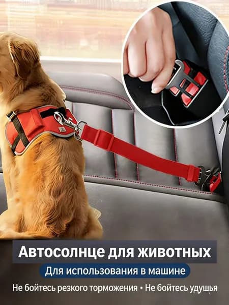Автомобильный ремень безопасности для домашних животных для путешествий