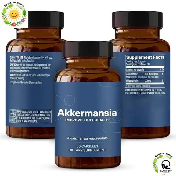 Akkermansia Probiotic + Prebiotic Fiber: комплекс для здоровья кишечника, повышает GLP-1, 100M AFU