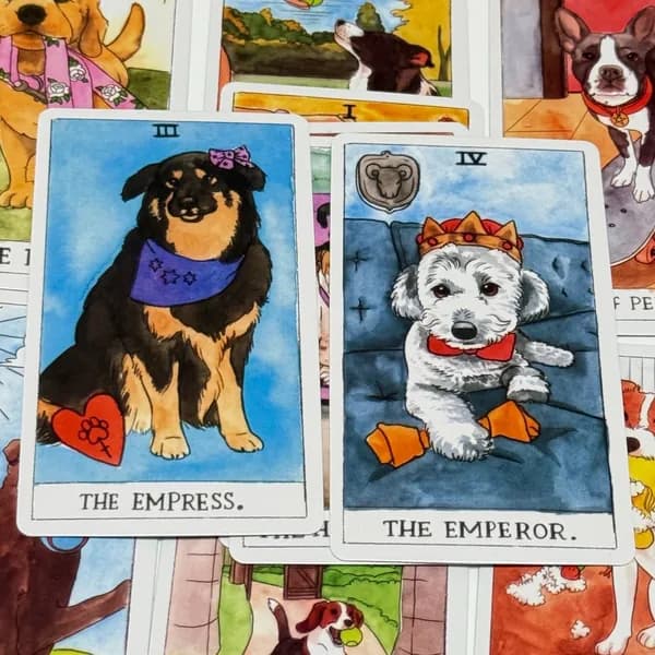 Карты таро "Собака", Dog Tarot Cards