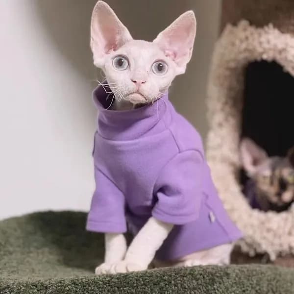 Кофта для кошки,XL,Сфинкс