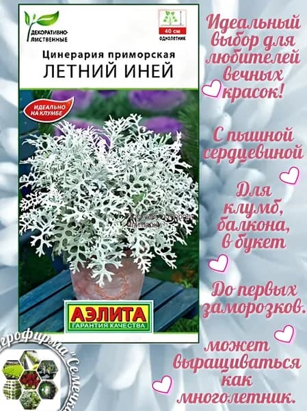 Аэлита Семена ,1шт