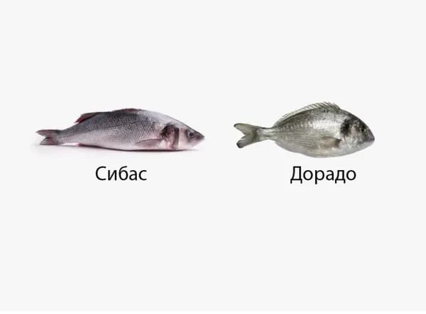 Дорадо 1.5 кг+ Сибас 1,5 кг Ассорти 3 кг.