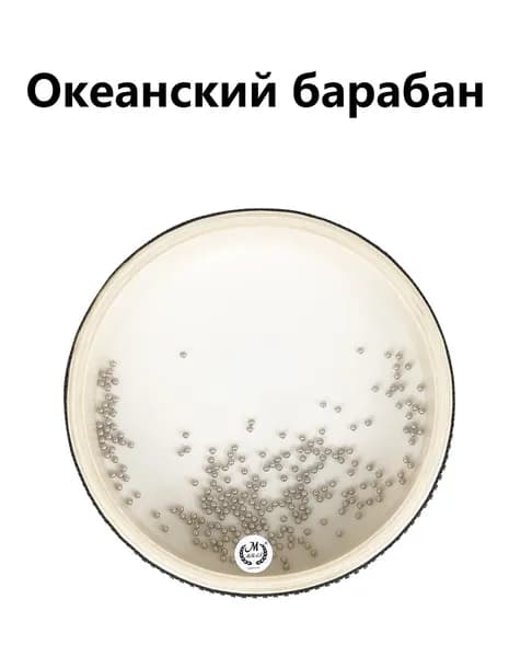 Эксклюзивный детский барабан Orff 8 дюймов, морской ударный инструмент для музыки