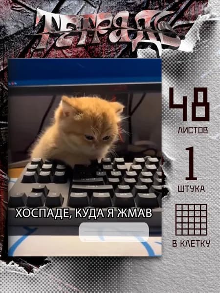 Тетрадь мем хоспаде куда я жмав, 48 листов
