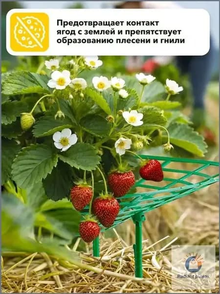 Фитомодуль,31см,10шт