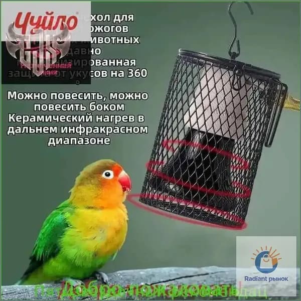 Светильник с защитной сеткой для клеток птиц, попугаев, террариумов, грызунов и кроликов, со 100-ватной теплой лампочкой в подарок
