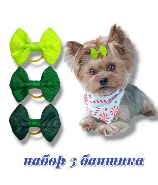 Бантики для собак