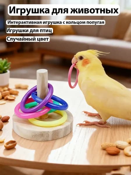 Игрушки для птиц, Интерактивная игрушка с кольцом попугая