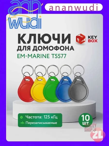 Электронный ключ