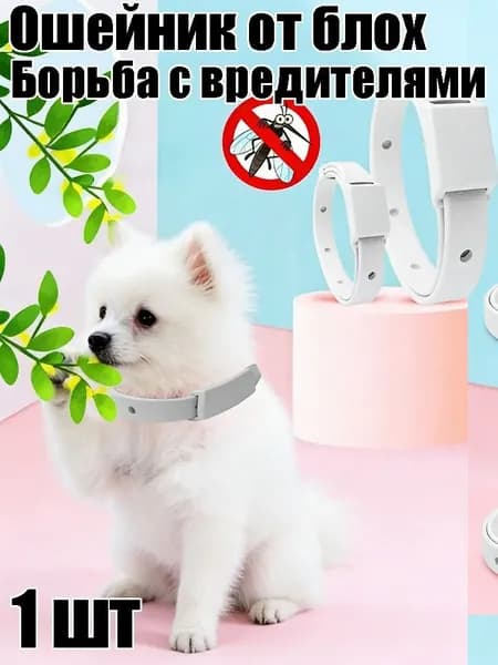 Эффективный ошейник от блох и клещей для кошек и собак