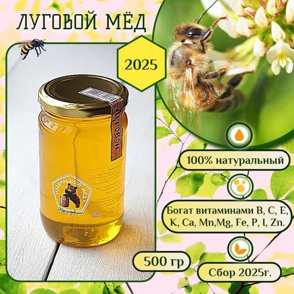 Мёд натуральный Луговой 500гр. (сбор 2025г.), Правильный мёд