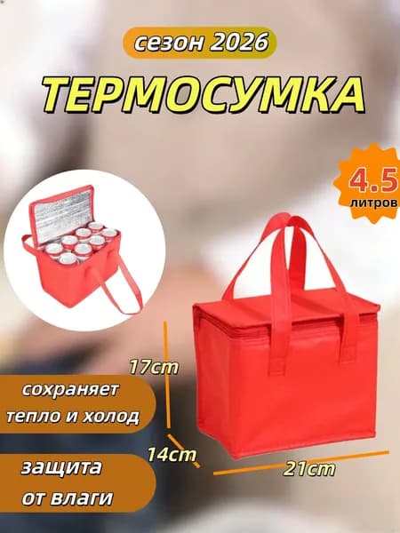 Термосумка для ланч-бокса и обеда, сумка холодильник для еды 21*17*14 см.