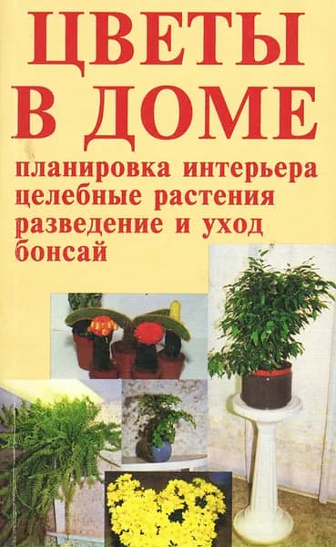 Цветы в доме - интерьер здоровья | Цветков Алексей Сергеевич