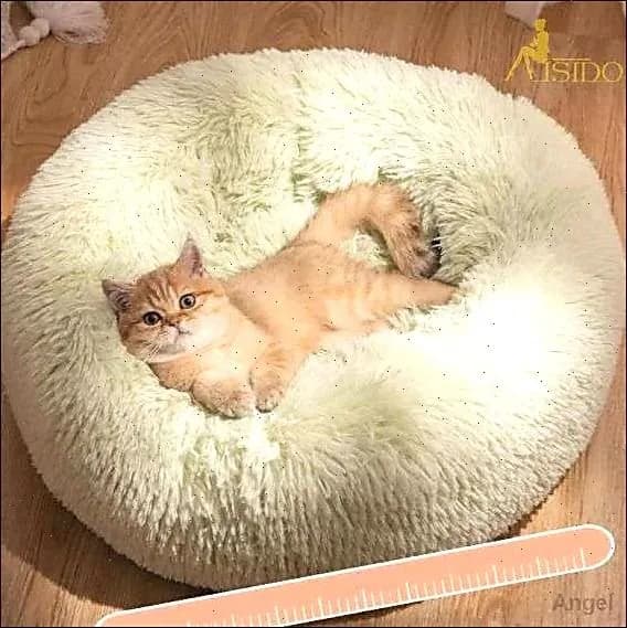 Палатка для животных