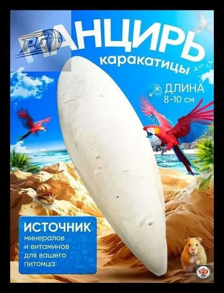 Сепия 8-10 см 1 штуки, панцирь каракатицы для улиток, черепах, попугаев, рептилий, корм для птиц