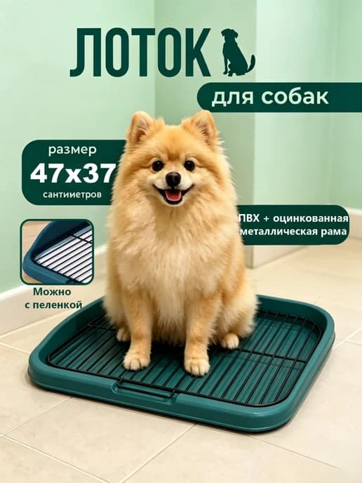 Лоток для собак под пеленку