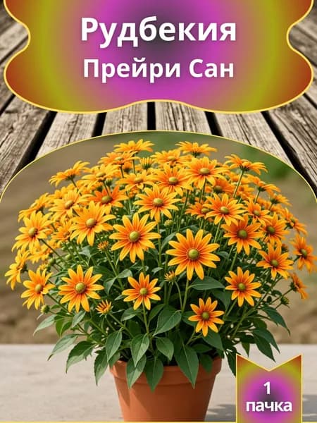 Рудбекия Прейри Сан , семена 10 шт.