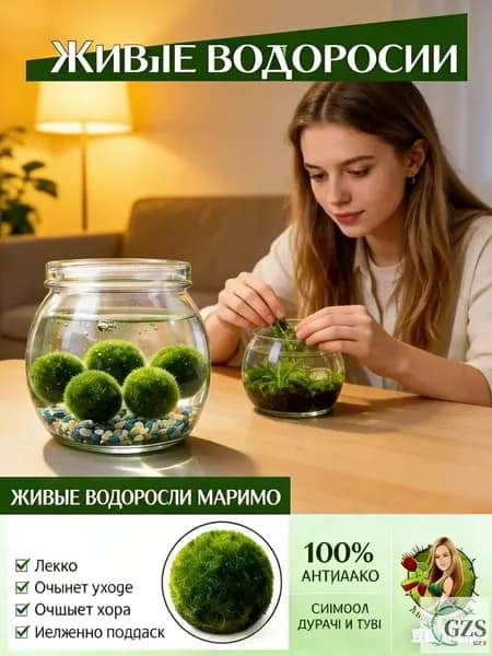 Набор из 5 натуральных шариков мха, популярные живые водоросли для аквариума, символ любви и удачи