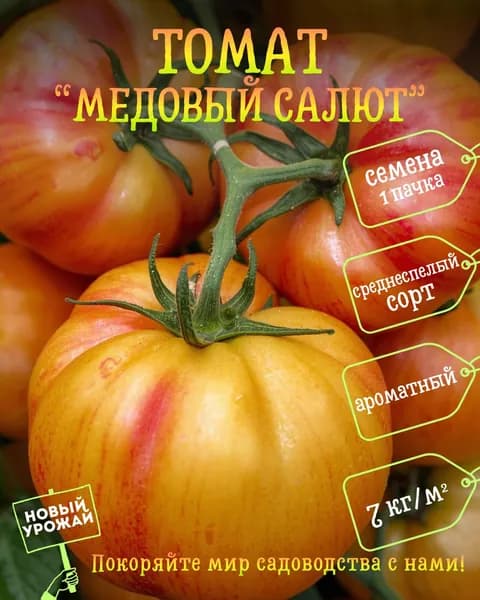 Томат Медовый салют, семена, 10 шт.