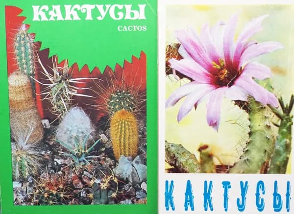 Набор открыток "Кактусы". СССР, 1970-1980 (комплект из 2 наборов)