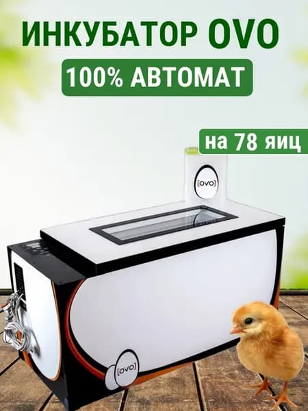 Инкубатор OVO на 78 яиц (100% автомат)
