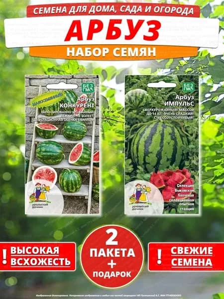 Семена арбуз для дома сада посадки