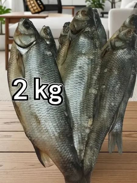 Язь вяленый 2 кг