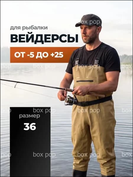 Вейдерсы