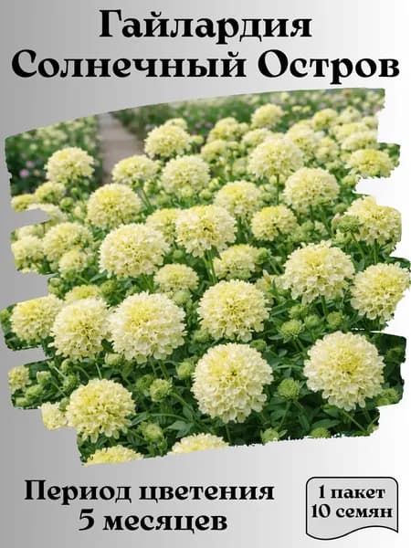 Гайлардия Солнечный Остров, семена, 10 шт.
