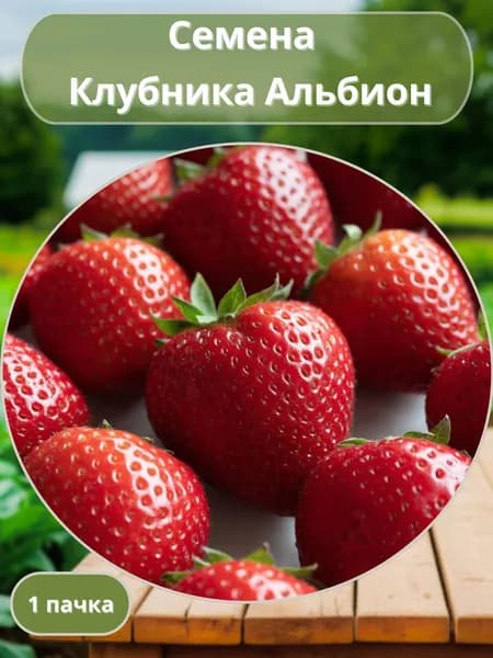 Клубника Ремонтантная Альбион, семена 10 шт