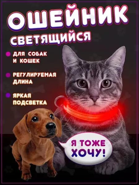 Ошейник светящийся