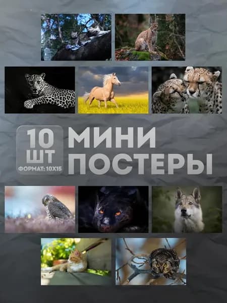 Мини постеры (набор) «Животные» 10 шт