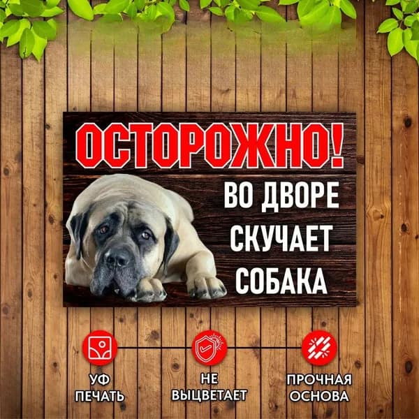 Табличка Во дворе скучает собака