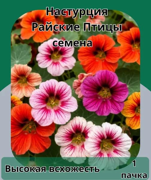 Настурция Райские Птицы, семена 10 шт