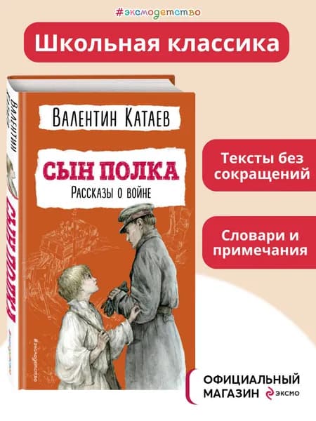 Сын полка. Рассказы о войне (ил. В. Канивца) | Катаев Валентин Петрович