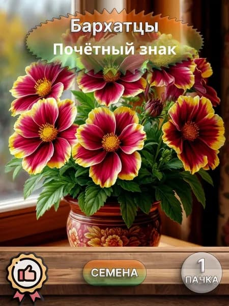 Бархатцы Почётный знак, семена, 10 шт.