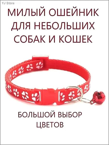 Ошейник