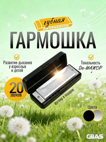 Губная гармошка диатоническая, серебряная