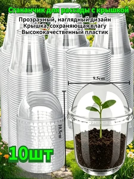 Кассета для рассады