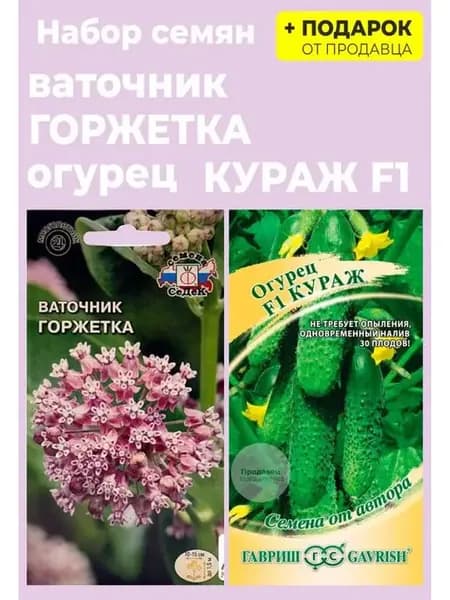 Семена ваточник Горжетка лилово-розовый