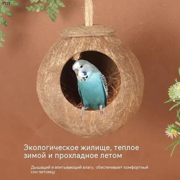 Гнездо для попугая изготовлено из натурального кокоса, диаметр кокоса: 10-13 см, 1 штукаh