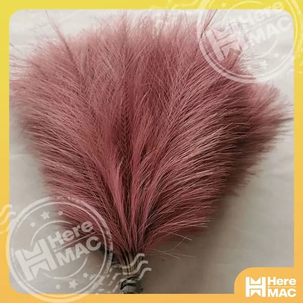 HereMAC Сухоцветы 30 г коричнево-красный