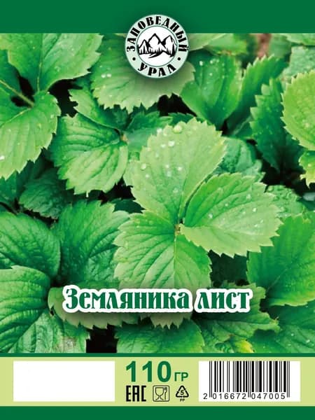Земляника сушеная лист