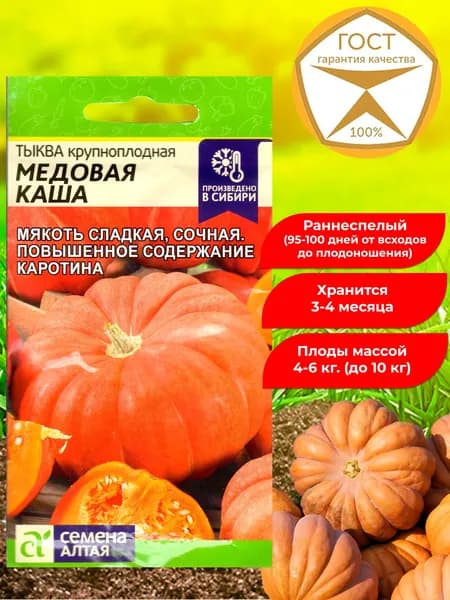 Семена тыквы крупноплодной Медовая каша. Раннеспелый, урожайный сорт.