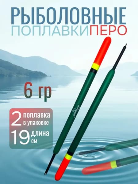 Поплавок для рыбалки Бальса Перо 6гр,19 см 2шт