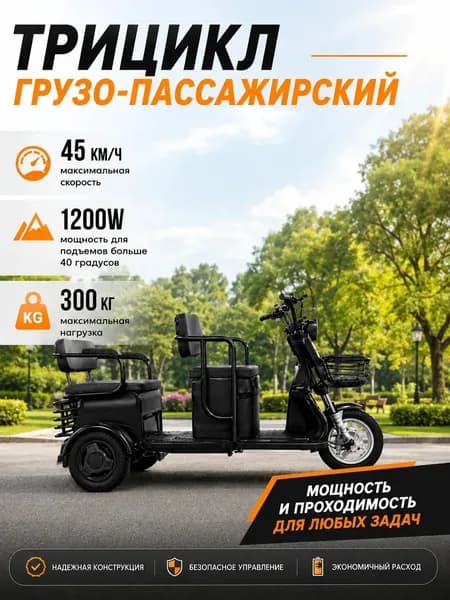 Мощный трехколесный грузовой трицикл до 300кг