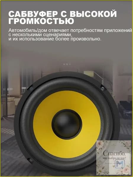 Сабвуфер автомобильный, 13 см (5 дюйм.)