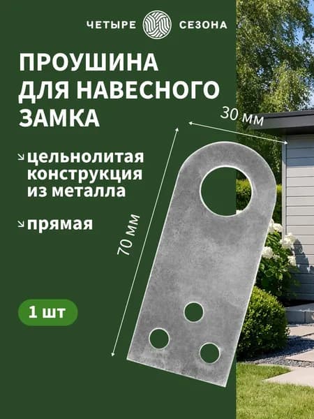 Проушина для навесного замка оцинкованная 30х70 мм 1 ШТ Четыре сезона, петли для замка навесного, пробой ушко прямое